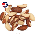 22. Dry fruits with names, Brazil Nuts