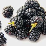 Summer fruits name, blackberries