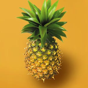 Rainy season fruits, pineapple