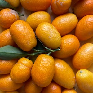 Rainy season fruits, kumquats