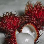 Image featuring rambutans in this series of 14 single fruits.