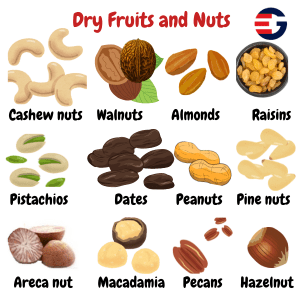 Image showing 12 dry fruits name and picture