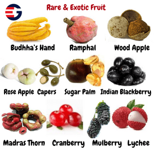 Image for 51 to 60 of 100 Fruits Name in English and Hindi showing wood apple, rose apple, sugar palm, peppers etc., along with other fruits for interactive learning and practice exercise.