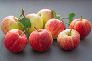 Image of winter fruits apples among seasonal fruits of India