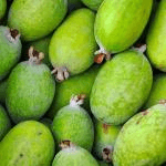 feijoa